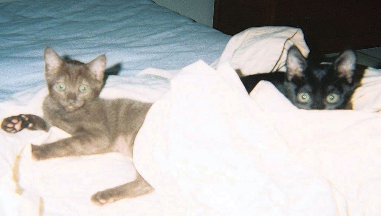 Someone to love: Bean and Flower